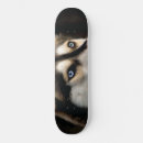 Recherche de lancement skateboards Animal
