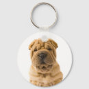 Suche nach shar pei schlüsselanhänger Welpen