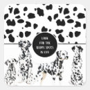 Recherche de chiots cadeau emballages Pour tous