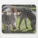 Suche nach drei tiere mousepads Tierwelt
