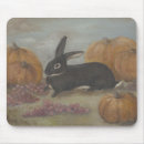 Recherche de adoption animale tapis souris Lapins