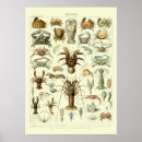 Suche nach adolphe poster Adolphmillot