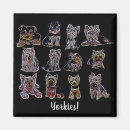 Suche nach yorkie magnete Yorkshire terrier