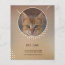 Recherche de animaux mignons prospectus Chats