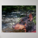Recherche de pinscher posters Broche