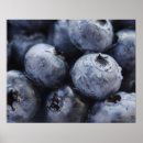 Recherche de myrtille posters Fruit