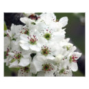 Recherche de fleurit des images Nature