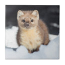 Recherche de yellowstone carreaux Délimiteur danita