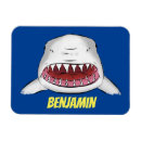 Recherche de grand blanc magnets Requin