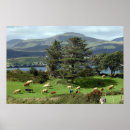 Suche nach landwirtschaft poster Landschaft