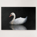 Recherche de cygne blanc puzzles Animal