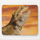 Suche nach bärtigen mousepads Tiere