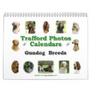 Recherche de chasse calendriers Weimaraner