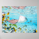 Suche nach manta poster Unterwasser
