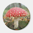 Suche nach roter pilz magnete Toadstool