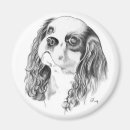 Recherche de charle cavalier de roi Canin
