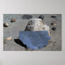 Suche nach hum poster Tibet