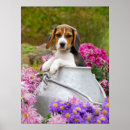 Suche nach hunde baby poster Pet