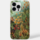 Suche nach haeckel iphone hüllen Vintag