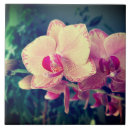 Suche nach rosa orchidee fliesen Botanisch