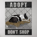 Suche nach adoptieren sie poster Katzen