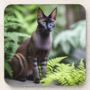 Recherche de chat siamois dessous de verres Animal