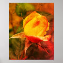 Recherche de points de art Rose