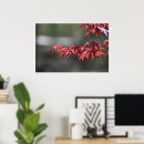 Suche nach ahornbaum poster Natur