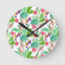 Recherche de cactus horloges Jardin