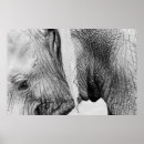 Recherche de zoo de bébé posters Pour tous