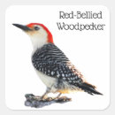 Suche nach woodpecker aufkleber Specker