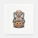 Recherche de labrador serviettes Carlin
