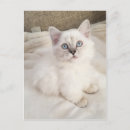 Suche nach melodie poster Natur