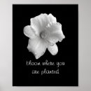 Recherche de de motivation posters Devis