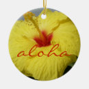 Recherche de ketmie ornements Tropical