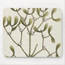 Suche nach kraut mousepads Pflanze