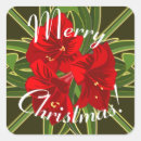 Suche nach amaryllis aufkleber Urlaub