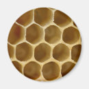 Recherche de miel magnets Nid d'abeilles