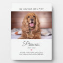 Recherche de souvenir de mémoire plaques Perte de l'animal