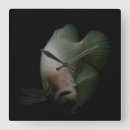 Recherche de poissons horloges Portrait