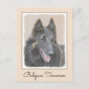 Recherche de berger belge cartes postales Tervuren