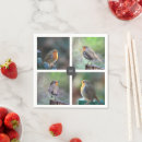 Recherche de oiseaux serviettes Robin