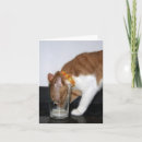 Suche nach leere katze karten Tier