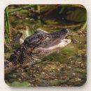 Suche nach amphibie untersetzer Wasser
