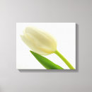 Suche nach weiße tulpen leinwandbilder Natur