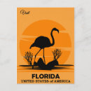 Suche nach florida flamingo postkarten Urlaub