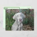 Recherche de garden party cartes postales Jardin