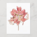 Suche nach samuel postkarten Vintag