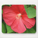 Recherche de brights tapis souris Tropical