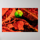 Suche nach kugel poster Natur